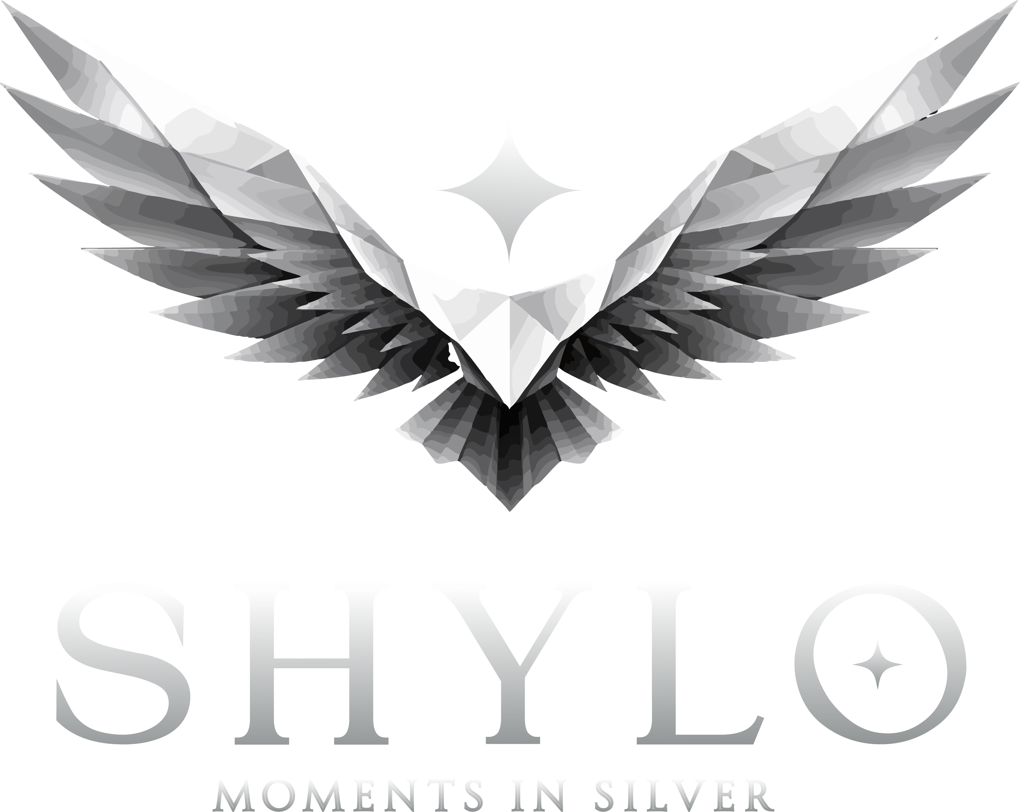 SHYLO — Moments in Silver